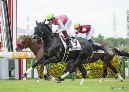 競馬ラボ - News update