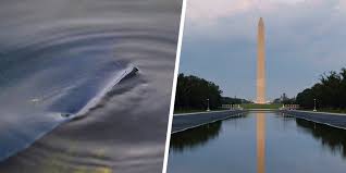 Peeling coating in the Lincoln Memorial Reflecting Pool