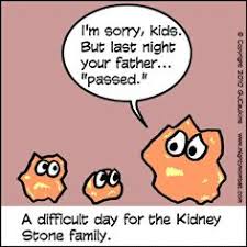 Funny Quotes About Kidney Stones. QuotesGram via Relatably.com