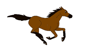 Image result for HORSE