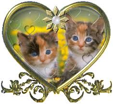 Résultat de recherche d'images pour "chats"