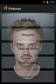 Jesse Pinkman Bitch Quotes. QuotesGram via Relatably.com