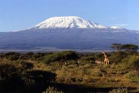 Resultado de imagem para As Neves de Kilimanjaro