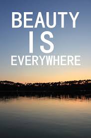 beauty-is-everywhere-beauty-quote.jpg via Relatably.com