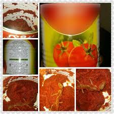 Image result for ‫احمداسماعیلی کریزی/تصاویر‬‎