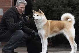 Resultado de imagen para AMO DANDOLE AMOR A SU PERRO