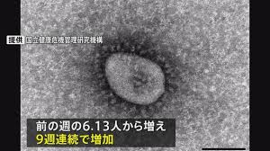 Yahoo!ニュース - News update