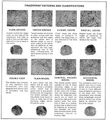 Résultat de recherche d'images pour "fingerprint types"