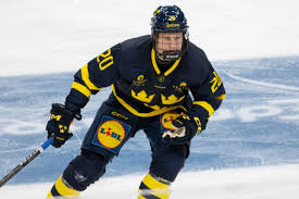 Daily Faceoff - News update