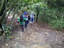 Image result for berjalan kaki di taman rekreasi