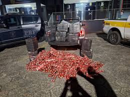 Ação conjunta apreende 355 kg de maconha em rodovia Catarinense