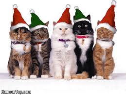 Résultat de recherche d'images pour "sapin de noel et chat"