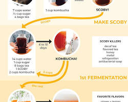Image of DIY kombucha brewing