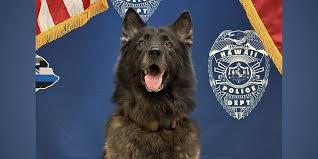 Hawaii Police Dog Dies After Being Left in Hot Vehicle