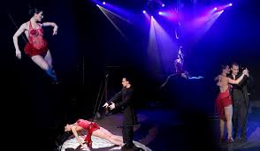 Resultado de imagem para sr. tango buenos aires