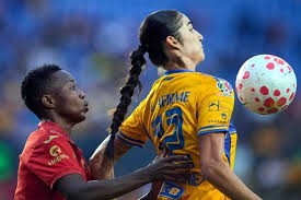 Tigres Femenil