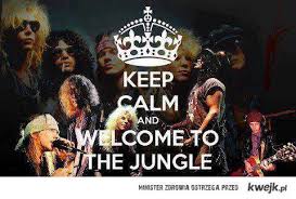 Resultado de imagen de slash welcome