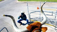 No bum steer: Remembering this Texas man and his iconic, friendly longhorn