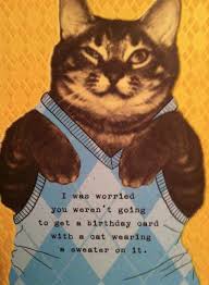 Image result for funny birthday