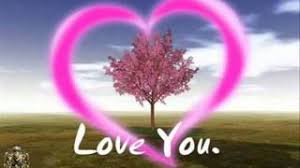 Résultat de recherche d'images pour "nour love"