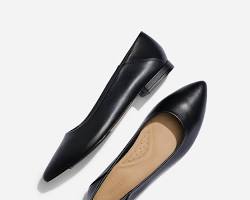 Gambar Pointed Toe Flats