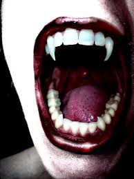 Bildresultat för vampyrer