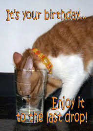 Image result for funny birthday