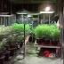 A home for pot businesses? This street could be Anchorage's 'green ...