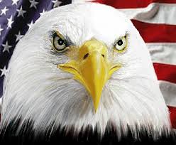 Image result for July 4th