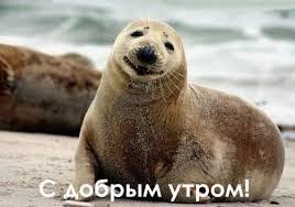 Путина следует принудить к большей ответственности, - канадский депутат - Цензор.НЕТ 4285