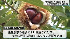 au Webポータル - News update