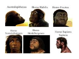 Resultado de imagen para origen y evolucion del hombre