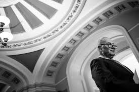 Calls Mount for Chuck Schumer to Step Down as Senate Leader