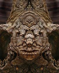 Résultat de recherche d'images pour "pareidolia"