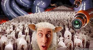 Image result for Sheeple pictures