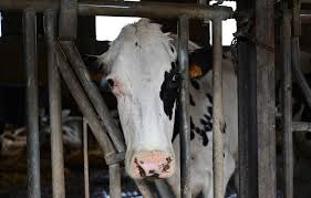 News source: 20 Minutes