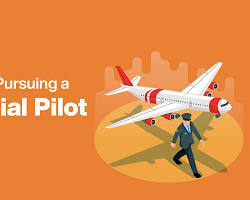 Image of Commercial Pilot job India