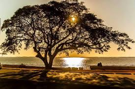 Resultado de imagem para porto alegre rs fotos