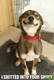 Image result for hi meme