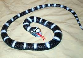 Image result for king snake