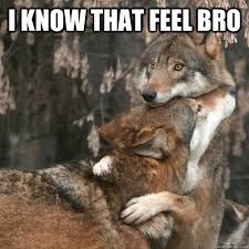 Image result for sympathy meme