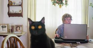 Image result for retirement phone and computer work