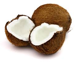 Image result for coconut