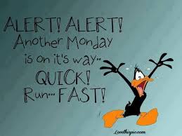 alert! funny cute funny quotes looney tunes daffy duck monday ... via Relatably.com