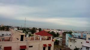 Image result for LAVA XOLO EAR PHONES