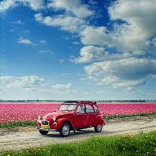 Znalezione obrazy dla zapytania spring we heart it