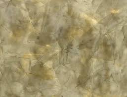 images?q=tbn:ANd9GcTSJ_vbKbsYL8ipBq9dvf7