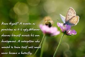 Butterfly Quotes - Know thyself! A maxim as pernicious as it is ... via Relatably.com