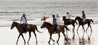 Hasil gambar untuk horse riding bali