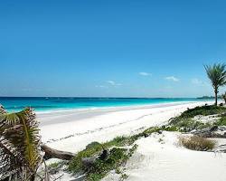 French Leave Beach, Eleuthera, Bahamas
